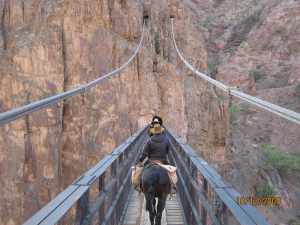Grand Canyon Black Bridge
